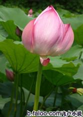 爱游戏平台:产品4